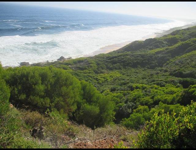 LAND FOR SALE IN DANA BAY